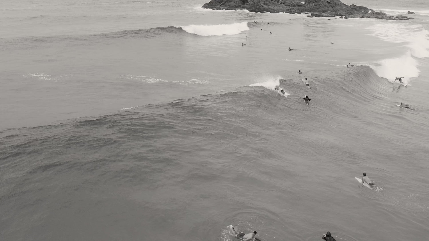 Nt Custom Surfboards Nt Surfboards